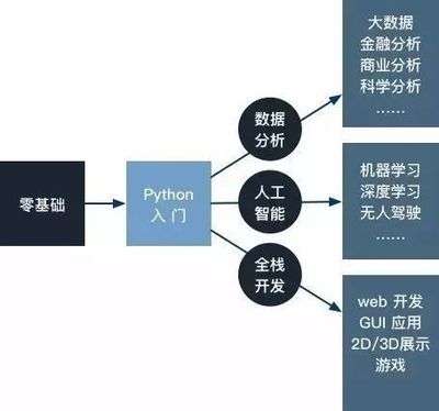 当你只有一门语言 Python驱动人工智能基础软件开发的深度路径